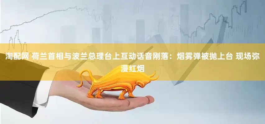 淘配网 荷兰首相与波兰总理台上互动话音刚落：烟雾弹被抛上台 现场弥漫红烟