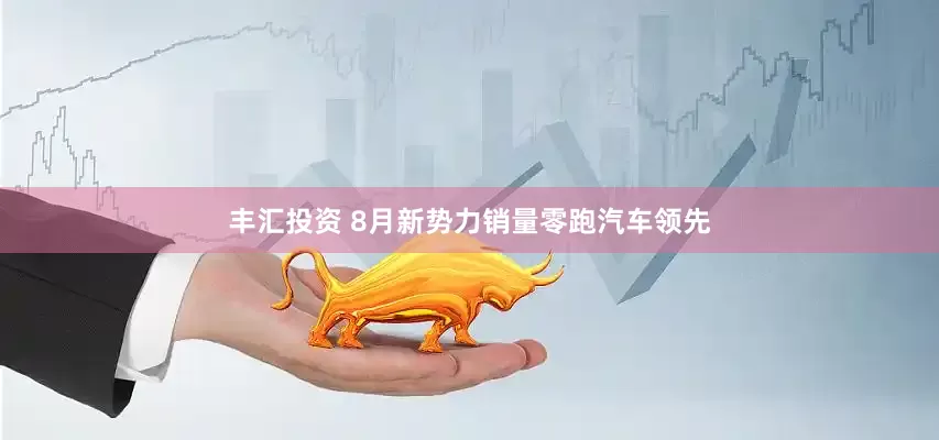 丰汇投资 8月新势力销量零跑汽车领先