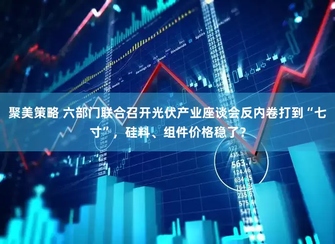 聚美策略 六部门联合召开光伏产业座谈会反内卷打到“七寸”，硅料、组件价格稳了？