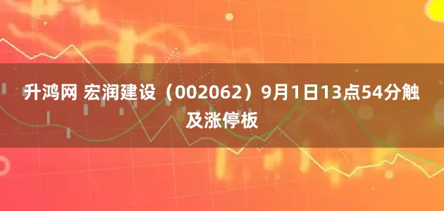 升鸿网 宏润建设（002062）9月1日13点54分触及涨停板