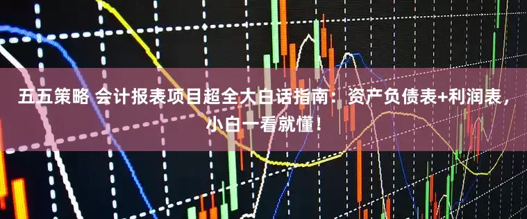 五五策略 会计报表项目超全大白话指南：资产负债表+利润表，小白一看就懂！
